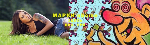 apvp Горняк
