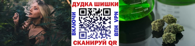 Марихуана сатива  Купить закладки  Мегион 